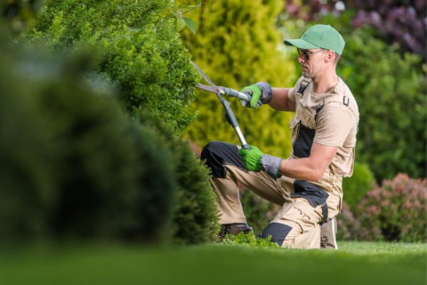 Maximize Your Landscape’s Potential with These Essential Services