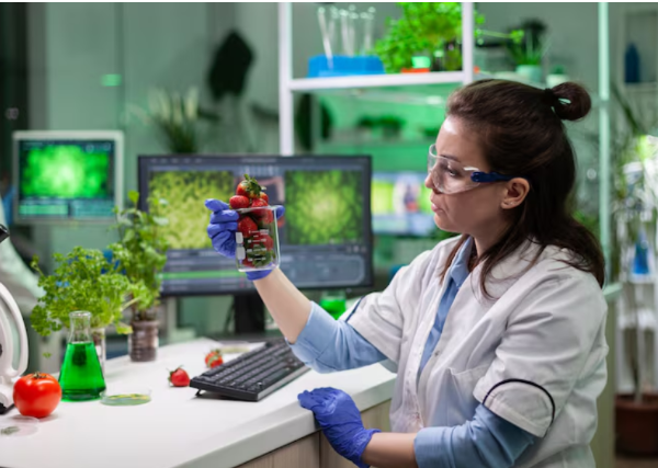 The Role of Nanotechnology in Sustainable and Efficient Farming