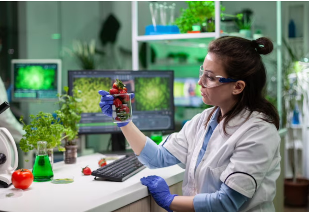 The Role of Nanotechnology in Sustainable and Efficient Farming