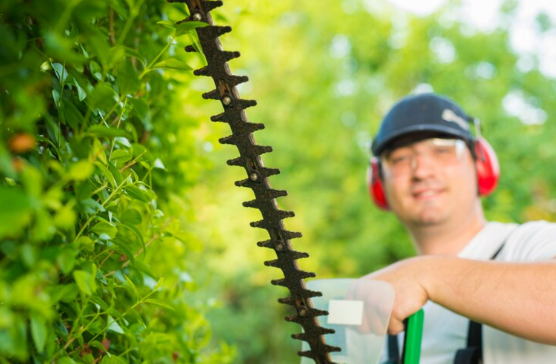 Invest in Safety and Style: Key Services to Elevate Your Outdoor Space